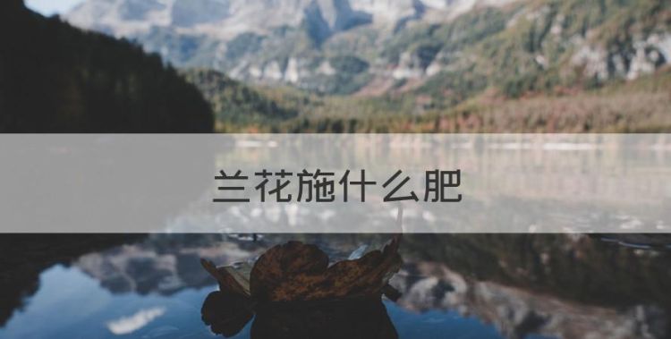 兰花施什么肥，兰花适合用什么肥料?图1