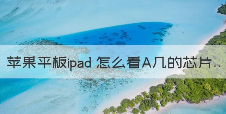 如何区分手机芯片，苹果平板ipad 怎么看A几的芯片图1