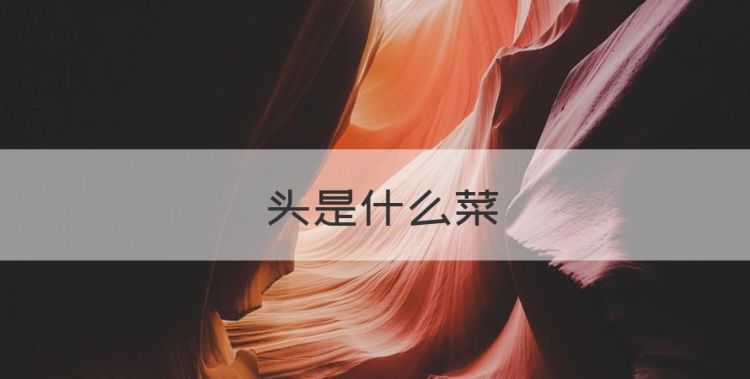 藠头是什么菜图1