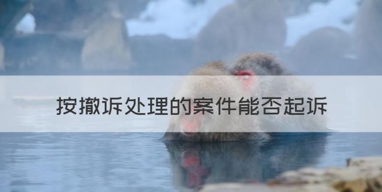 按撤诉处理的案件能否起诉图1