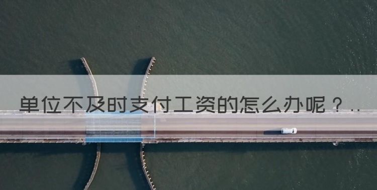 公司一直拖欠工资怎么办，单位不及时支付工资的怎么办图1