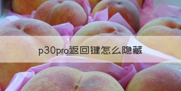 p30pro返回键怎么隐藏，华为p30怎么设置返回键图标图1