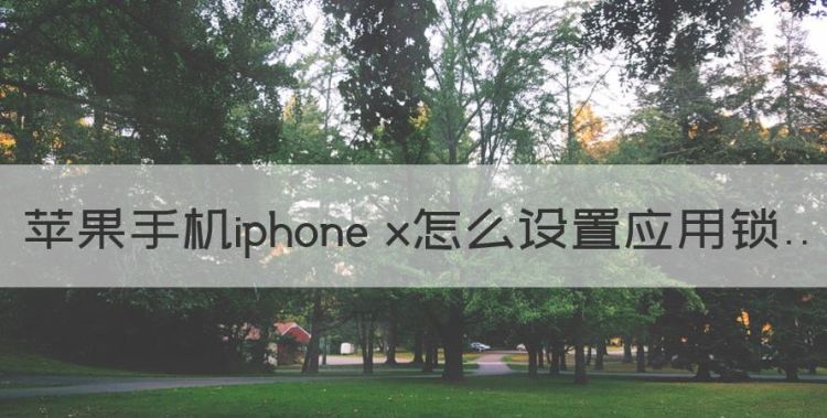 苹果手机iphone x怎么设置应用锁图1