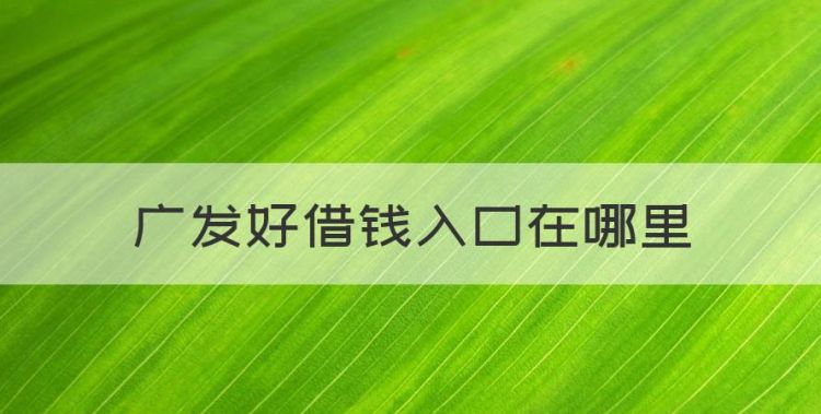 广发好借钱入口在哪里，为什么我的支付宝没有借钱功能图1