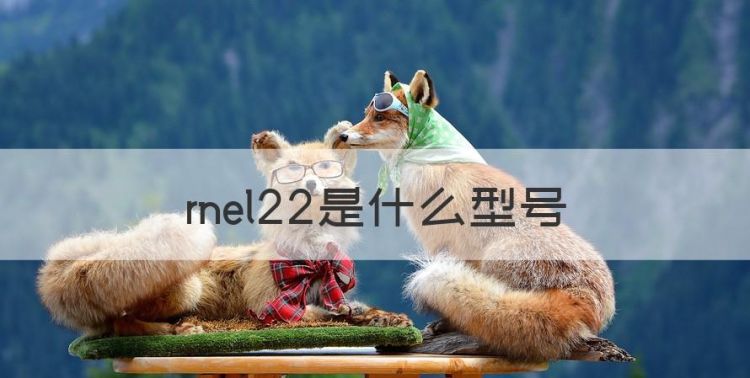 rnel22是什么型号，rne-l22是华为什么型号图1