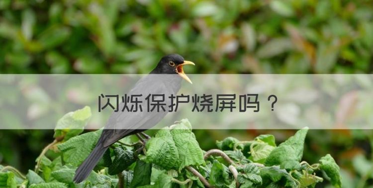 闪烁保护烧屏，闪烁保护软件费电吗图1