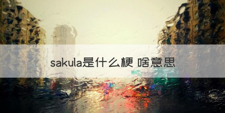 sakula是什么梗 啥意思，故乡的sakura开了什么梗