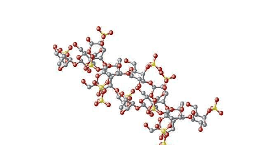 多糖的作用，多糖是什么 有什么用图2
