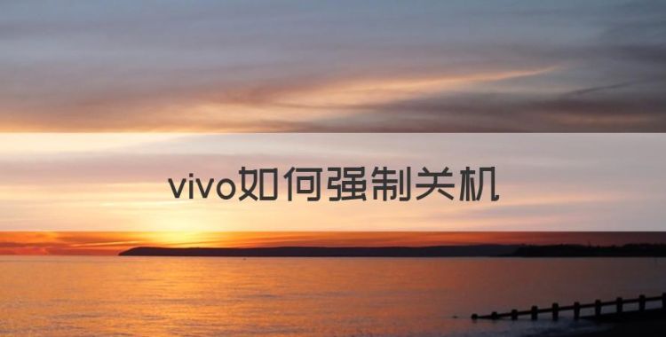 vivo如何强制关机，ViVo手机怎么强制关机图1