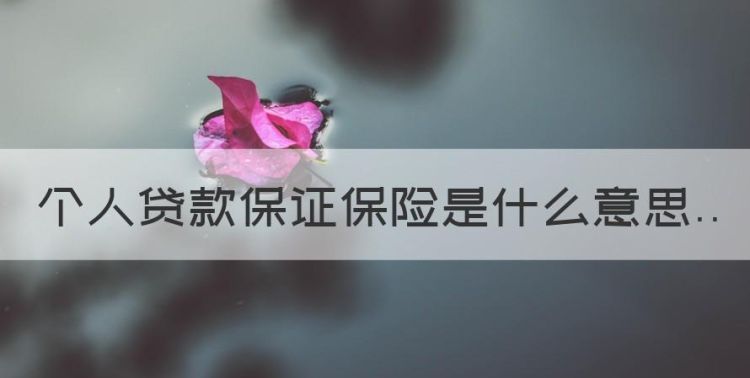 个人贷款保证保险是什么意思，亚太财产保险有限公司是什么贷款图1