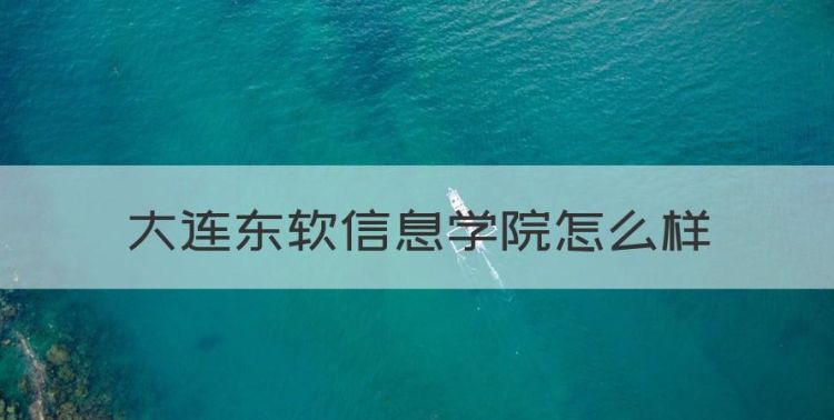 大连东软信息学院怎么样，大连东软信息学院专升本分数线图1