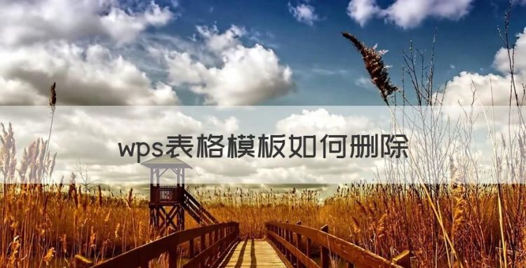 wps表格模板如何删除，WPs表格后的空白页如何删除