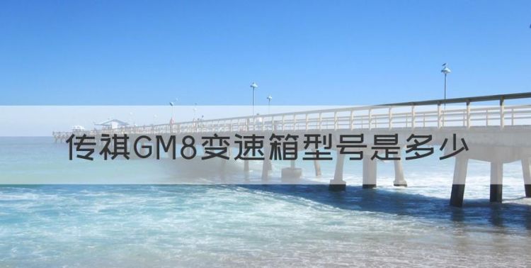 gm8变速箱是什么牌子的，传祺GM8变速箱型号是多少图1