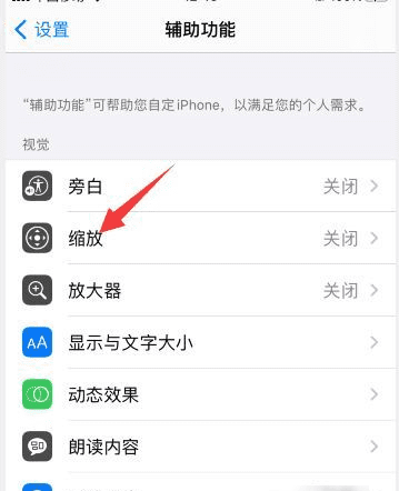 苹果手机iphone 已启用缩放弹框怎么关闭图3