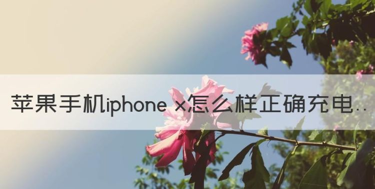 苹果手机iphone x怎么样正确充电