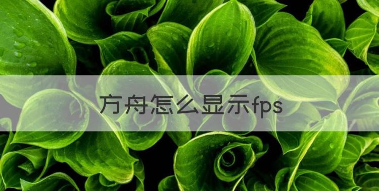 方舟怎么显示fps，方块方舟控制台代码图1