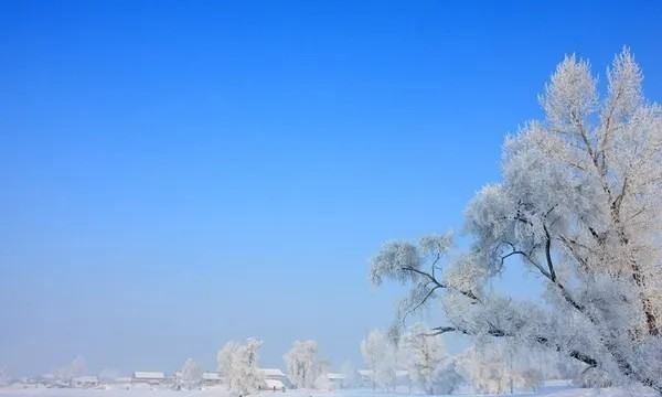 赞美雪的优美句子图3