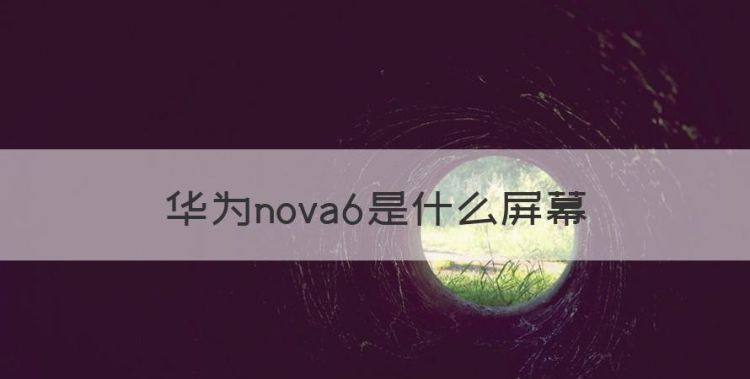 华为nova6是什么屏幕