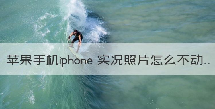 苹果手机iphone 实况照片怎么不动图1