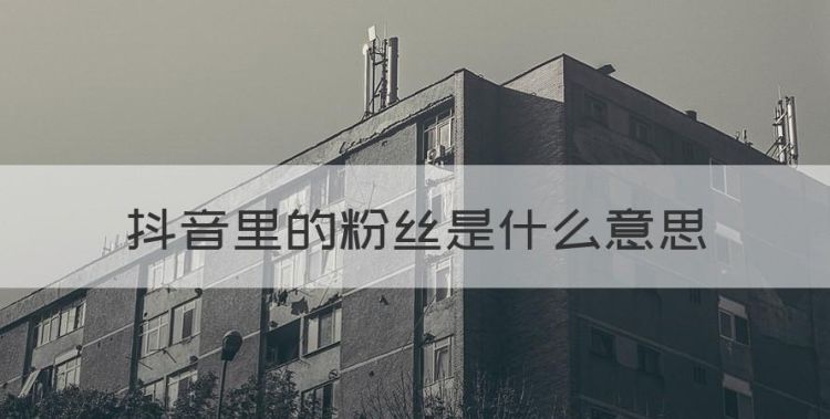 抖音里的粉丝是什么意思