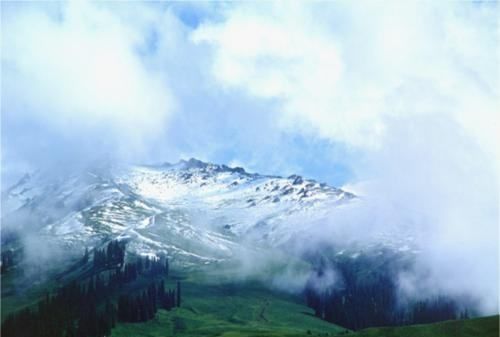 七月的天山写的是什么季节的景物图2