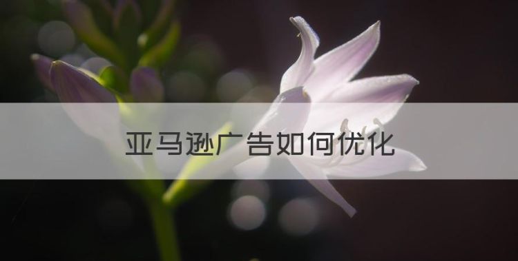 亚马逊广告如何优化，亚马逊广告Ppc还是cpc图1