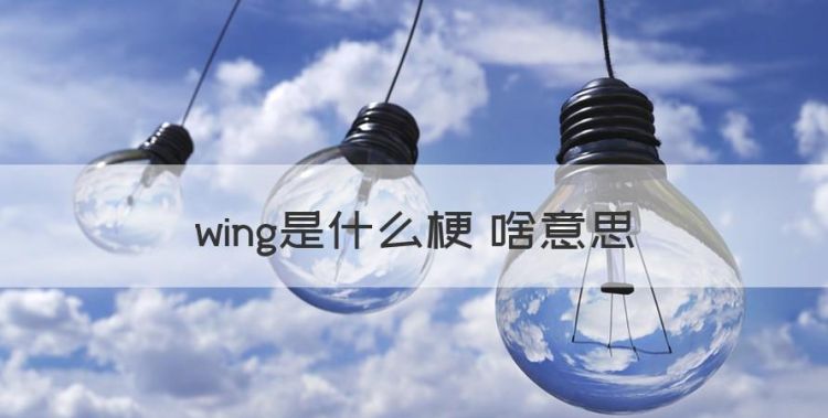 wing是什么意思，wing是什么梗 啥意思图1