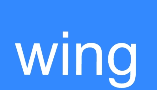 wing是什么意思，wing是什么梗 啥意思图2