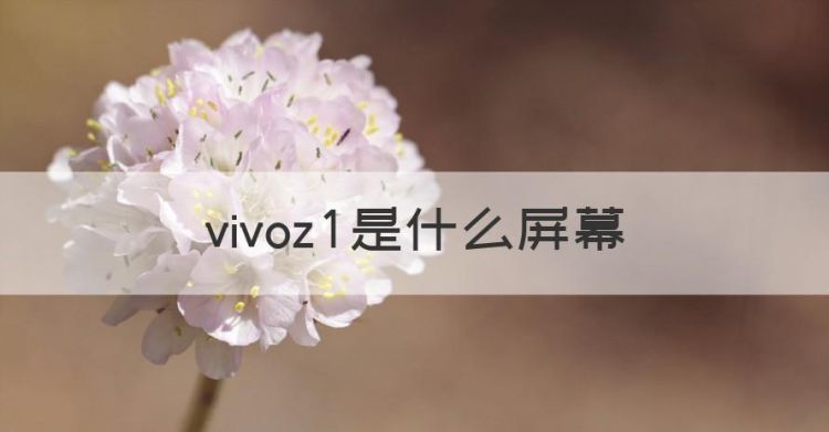 vivoz是什么屏幕，vivoz1屏幕是哪个厂家的屏幕图1