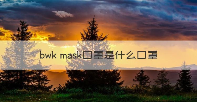 bwk mask口罩是什么口罩图1