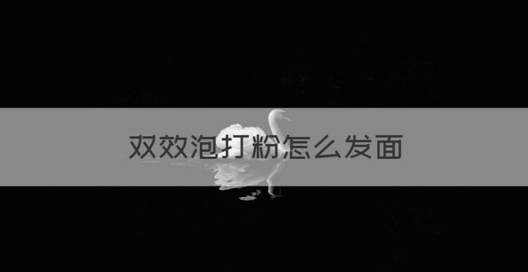 双效泡打粉怎么发面，双效泡打粉加入面粉中还需要发酵吗图1