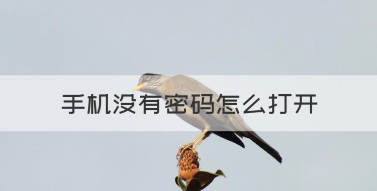 手机没有密码怎么打开图1