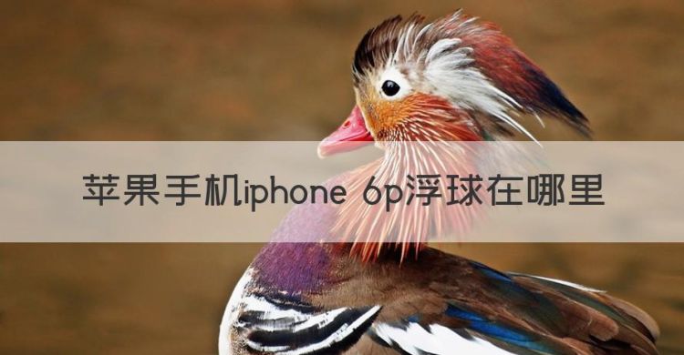 苹果手机iphone 6p浮球在哪里图1