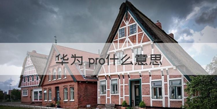 华为 pro什么意思，华为pro是什么意思和不是pro的区别图1