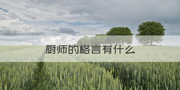 厨师的格言有什么，厨师格言 经典语录