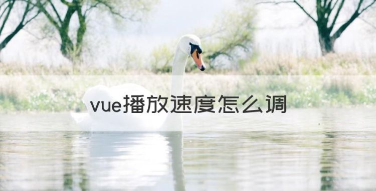 vue第一次加载慢，vue播放速度怎么调图1