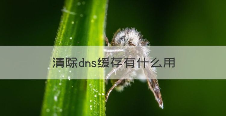 清除dns缓存有什么用图1