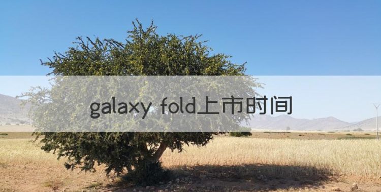 galaxy fold上市时间，三星fold2us是什么版本图1