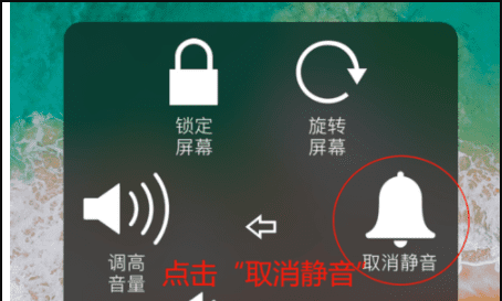 苹果静音怎么关闭震动，苹果手机怎么取消静音设置图9
