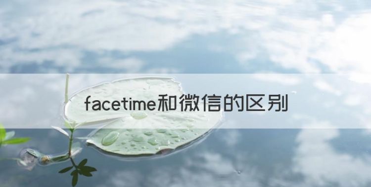 facetime和微信的区别，畅连通话与微信有什么不同吗图1