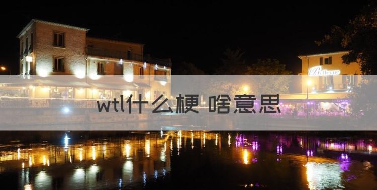 wtl什么梗 啥意思，钢结构WTL代表什么