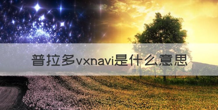 普拉多p加△是啥意思，普拉多vxnavi是什么意思