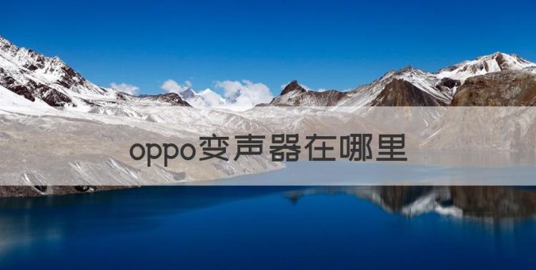 oppo变声器在哪里，oppo手机自带变声器在哪里开启