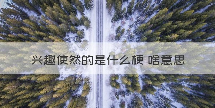 缘分使然后面一句是什么，兴趣使然的是什么梗 啥意思图1