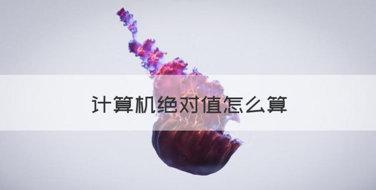 计算机绝对值怎么算图1