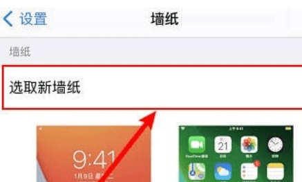 苹果手机iphone 主题在哪里设置图3