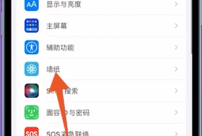 苹果手机iphone 主题在哪里设置图6