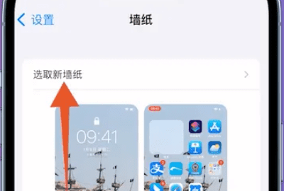 苹果手机iphone 主题在哪里设置图7