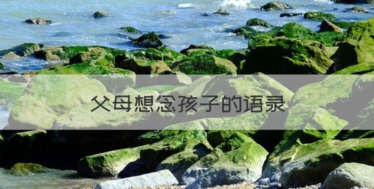 父母想念孩子的语录图1