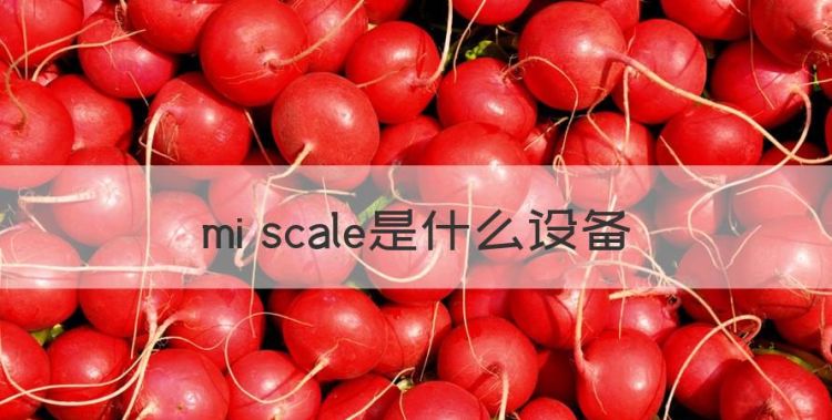 mi scale是什么设备，ecm模块是什么意思图1